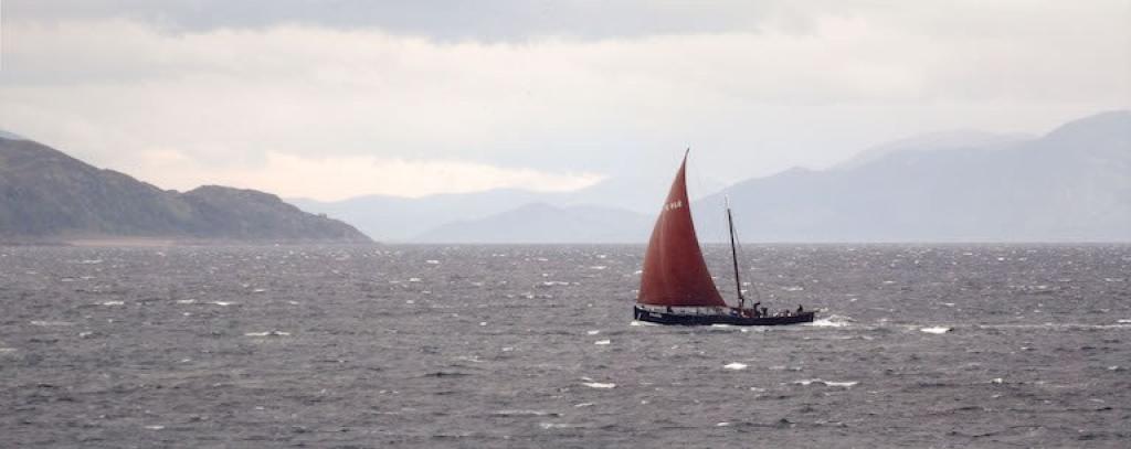 Reaper in a breeze2 1