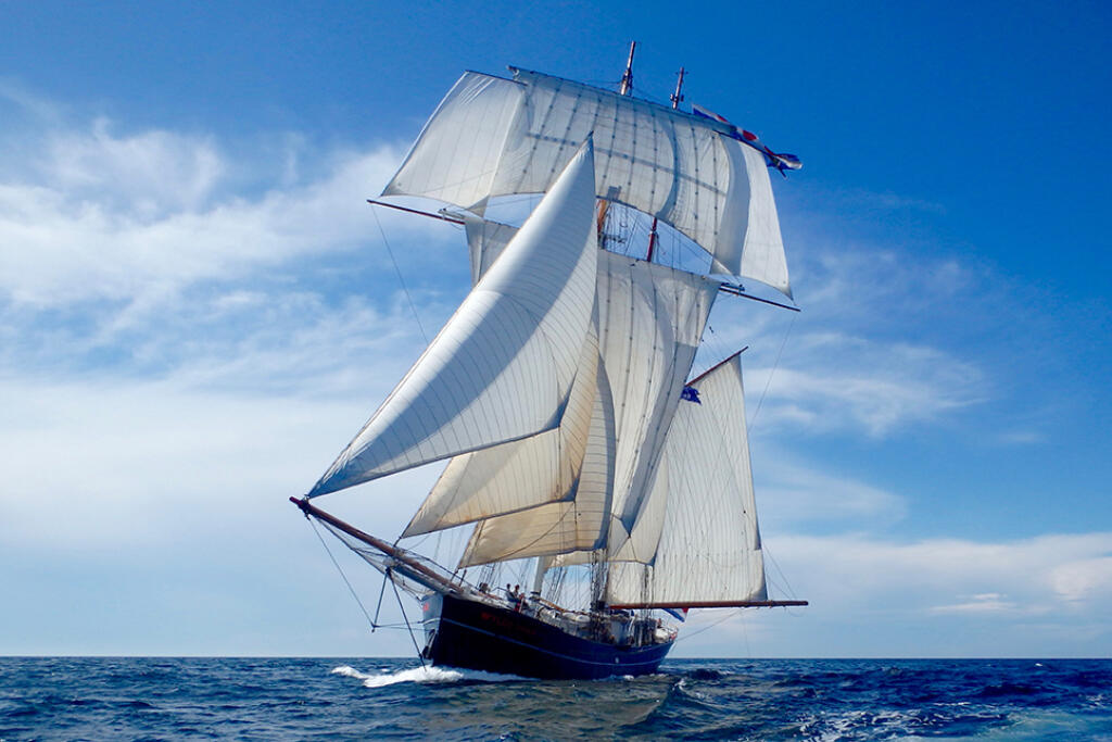 Vessel wylde swan 3